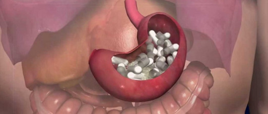 Mulas: el eslabón más débil del narcotráfico