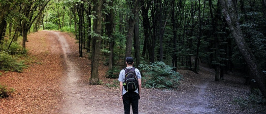 Tipos de racionalidad