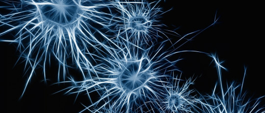 Las diferencias entre enfermedad neurológica y psiquiátrica