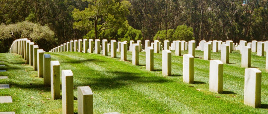 La Teoría de Manejo del Terror