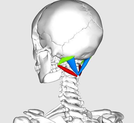 Triángulo suboccipital