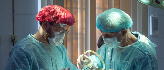 Los 5 tipos de transplantes más comunes (y sus características)