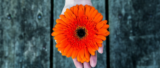 Los 4 tipos de Terapia Contextual: qué son y en qué se basan