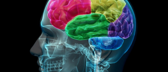 5 descubrimientos psicológicos impresionantes