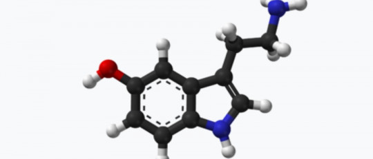 ¿Cuáles son los efectos psicológicos de la serotonina?