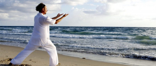Tipos de Tai Chi