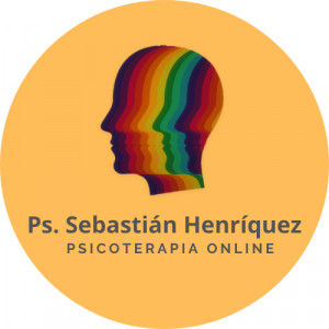 Sebastian Henriquez Seguel