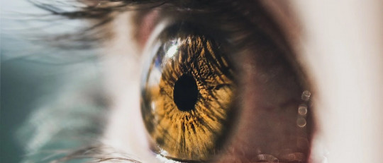 ¿Cómo funciona la terapia EMDR?