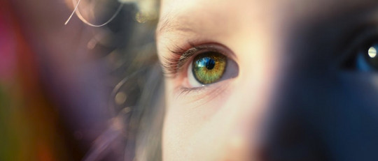 Los 7 tipos de trastornos del neurodesarrollo (síntomas y causas)