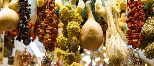 Elementos biogenésicos