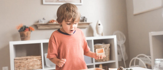 Contraste conductual