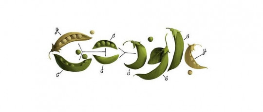 Las 3 leyes de Mendel y los guisantes: esto es lo que nos enseñan