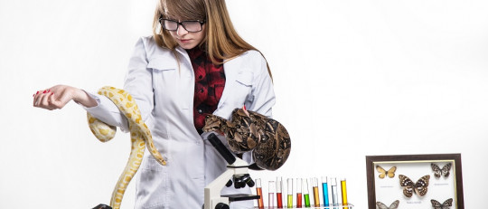 Las 10 ramas de la Biología: sus objetivos y características