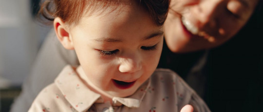 Psicoterapia de vinculación emocional validante