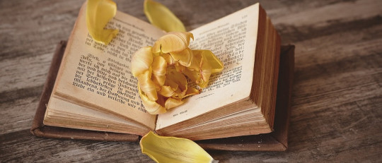 12 libros que cambiarán tu vida