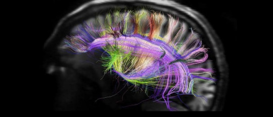 Los 7 tipos de pruebas neurológicas