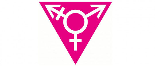 Hermafroditismo (intersexualidad): tipos, síntomas y tratamiento