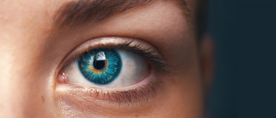 Los 5 tipos de superdotación intelectual (y sus características)