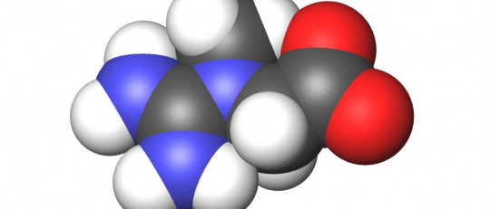 Los 9 tipos de creatina: propiedades nutritivas y usos en dieta