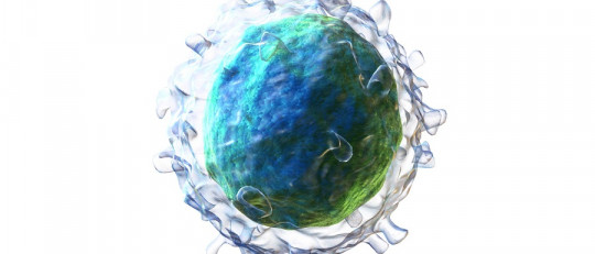 Linfocitos altos: causas, síntomas y tratamiento