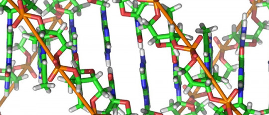 Segregación genética