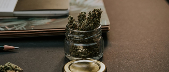 ¿Cuáles son las diferencias entre la marihuana y el hachís?