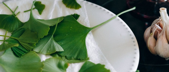 Antidepresivos naturales, y cómo tomarlos